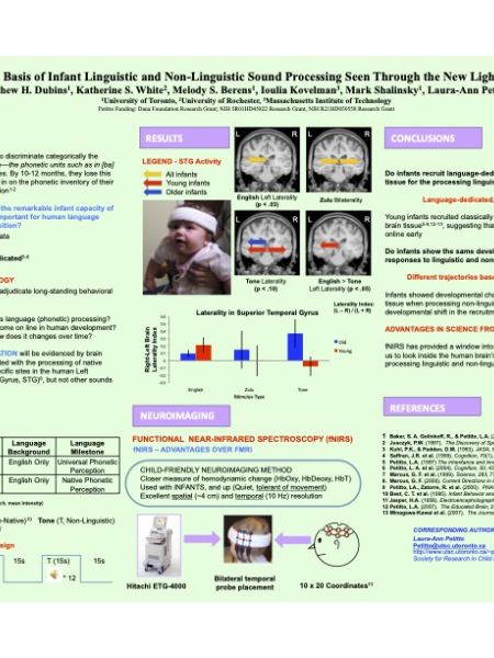 The Neural Basis of Infant Phonological Processing Seen Through the New Light of fNIRS