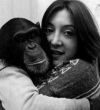 Nim Chimpsky